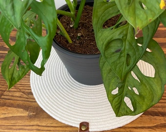 Cotton Rope Table Mats / Placemats / Mug Rugs with DARK ESPRESSO Leather Tab