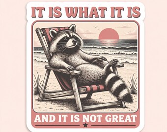 It Is What It Is And It Is Not Great Sticker, Funny Raccoon Meme Vinyl Decal, Sarcastic Humor Sticker, Laptop Water Bottle Decor.