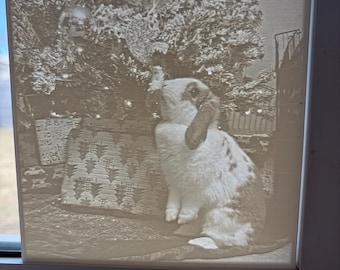 3D Printed Photo Light Box: Custom Family, Pet Portraits (Frame/Light Option)