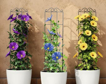 Enrejado de jardín de metal negro: soporte de alambre de hierro para plantas trepadoras y flores.