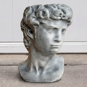 May include: A gray, weathered-look bust sculpture depicting a classical male head with curly hair. The surface features a textured, stone-like finish with darker gray highlights and lighter gray shading, capturing the facial features and neck.