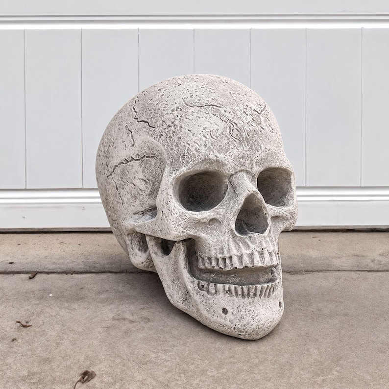 Concrete Human Skull Statue With Cracked Bone Texture Gothic Skeleton ...