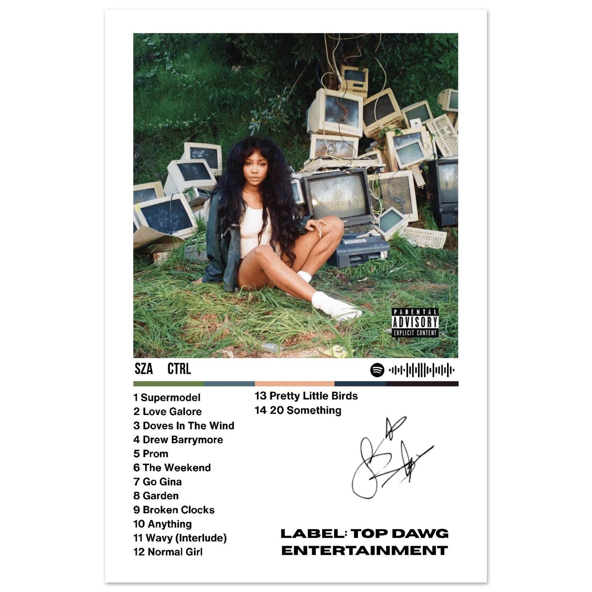 Discover Aesthetic SZA Ctrl Album Track List Poster, 2010s Music Room Decor, Y2K Stylish Poster, Timeless Gift For Him Or Her