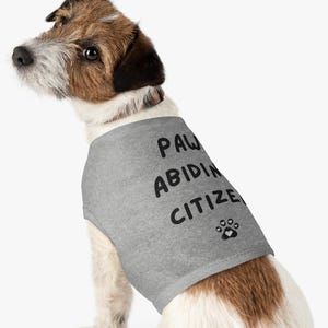 Könnte beinhalten: Ein kleiner Hund trägt ein graues Tanktop mit dem schwarzen Schriftzug "PAW ABIDING CITIZEN" und einem Pfotenabdruck. Der Hund hat braunes und weißes Fell und blickt nach links.