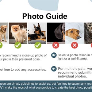 May include: A photo guide featuring pet images, including a golden retriever, Pomeranian, and a dog. The guide offers advice on pet photography, such as close-up shots and natural lighting. Text provides recommendations and guidelines.