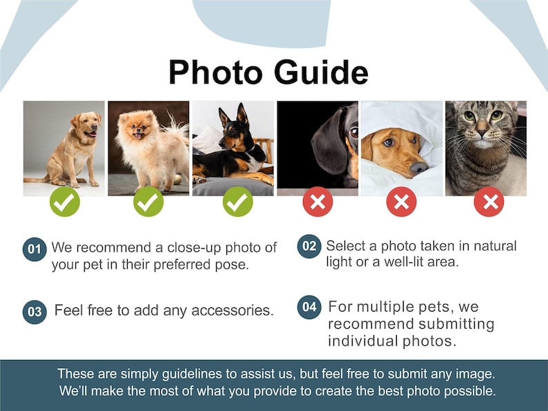 May include: A photo guide featuring pet images, including a golden retriever, Pomeranian, and a dog. The guide offers advice on pet photography, such as close-up shots and natural lighting. Text provides recommendations and guidelines.