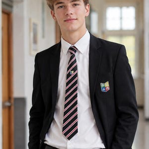 May include: A black blazer worn over a crisp white button-down shirt and a black tie featuring thin white and red diagonal stripes. The blazer displays a colourful crest emblem on the chest pocket, and the tie also features a small matching crest.