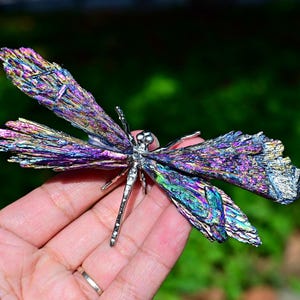 May include: A dragonfly-shaped ornament featuring four wings crafted from iridescent, multi-colored kyanite blades. The central body and legs are made of polished silver-toned metal, providing a structural contrast to the textured, crystalline wings.