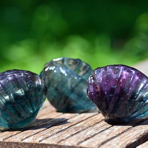 Op de afbeelding: Drie gesneden edelstenen schelpen gemaakt van doorschijnend fluoriet, met een verloop van dieppaarse en blauwgroene kleuren. Elk stuk heeft een geribbelde, waaiervormige textuur die kenmerkend is voor een schelp, met een gepolijste, glanzende afwerking.