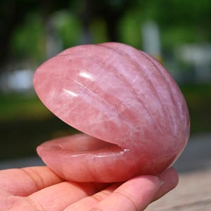 May include: A polished rose quartz carving shaped like an open clam shell. The stone features a translucent, pale pink hue with natural crystalline textures and subtle white veining throughout the smooth, curved surface of the shell sculpture.