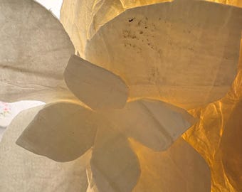 Caracol decorative lamp