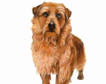 Original Oil DOG Portrait Painting NORFOLK TERRIER Art Artist Signed Puppy Artwork