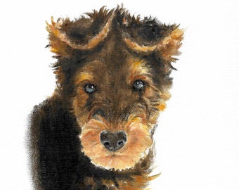 Original Oil Portrait Painting AIREDALE TERRIER Artist Signed Puppy Dog PetArtwork PUPPY