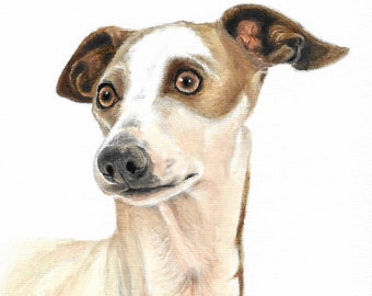 Retrato al óleo original del PERRO Pintura GALGO ITALIANO Artista Firmado Cachorro Mascota Animal Arte Obra de arte