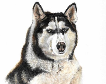 Könnte beinhalten: Ein Gemälde eines schwarz-weißen Husky-Hundes mit blauen Augen. Der Hund schaut den Betrachter mit einem ernsten Ausdruck direkt an.