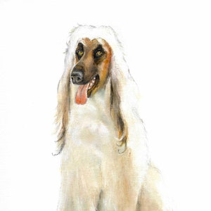ORIGINAL Oil Portrait Painting AFGHAN HOUND Dog Art Artist Signed Artwork