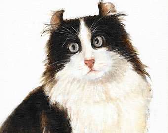 Original Oil Portrait Painting AMERICAN CURL Black & White Artist Signed Art Artwork Cat Kitten Pet