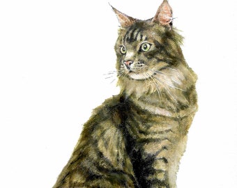 Original Oil Portrait Painting MAINE COON Cat Kitten Artwork Artist Signed Art Pet Animal