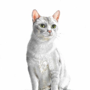 Original Oil Portrait Painting AMERICAN SHORTHAIR Cat Artist Signed Artwork Pet Animal Kitten Art
