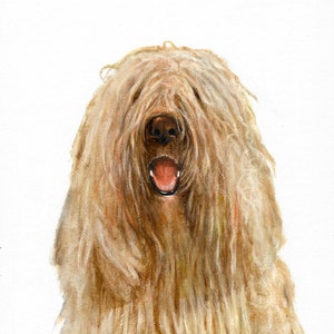 Original Oil Portrait Painting KOMONDOR Artist Signed Puppy Dog Artwork Art