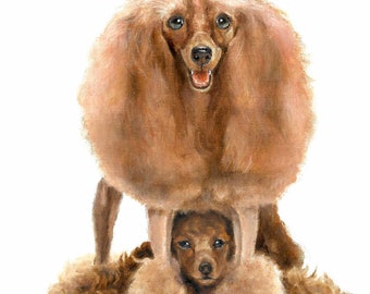 Original Oil Portrait Painting POODLE Apricot Brown Tan Puppy Dog Artist Signed Artwork Art