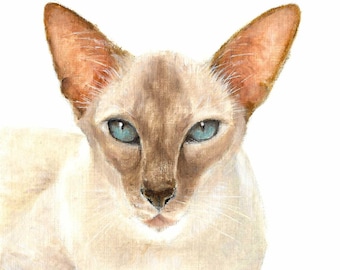Original Oil Portrait Painting SIAMESE Artist Signed Art Artwork Cat Kitten Feline Pet