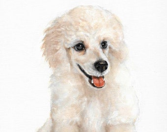 Original Öl Portrait Gemälde PUDEL Welpe Hund Künstler signiert Kunstwerk Kunst