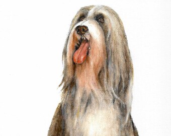 Original Oil Portrait Painting BEARDED COLLIE Artist Signed Artwork Sheepdog Dog