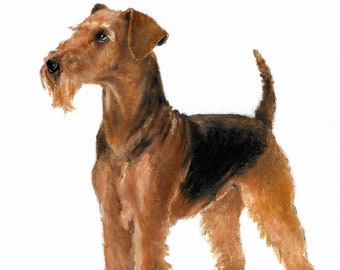 Original Oil Portrait Painting AIREDALE TERRIER Artist Signed Puppy Dog PetArtwork PUPPY