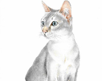 Original Oil Portrait Painting SINGUPURA Silver Grey White Cat Kitten Artwork Artist Signed Art Pet Animal