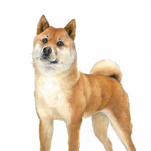 オリジナル油絵肖像画 柴犬 子犬 アーティストサイン入りアートワーク アート