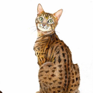 Original Oil Portrait Painting BENGAL BROWN SPOTTED Cat Artist Signed Artwork Pet Animal Kitten Art
