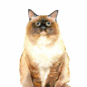 Original Oil Portrait Painting RAGDOLL SEAL PARTI Color Point Cat Artist Signed Artwork Pet Animal Kitten Art