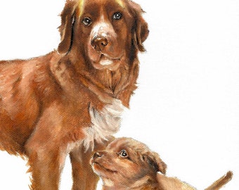 Original Oil Portrait Painting NOVA SCOTIA Duck Tolling Retriever Artist Signed Puppy Dog Artist Signed Puppy Dog Pet Art Artwork