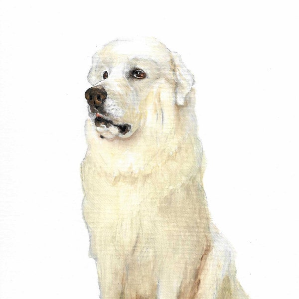 Nouvelle Huile Originale Art GREAT PYRENEES Portrait Peinture Puppy Dog Artiste Œuvre Signée Blanc