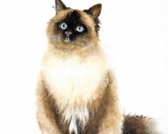 Portrait à l'huile originale peinture MIX persan himalayen Ragdoll chat artiste signé oeuvre Pet Animal chaton Art