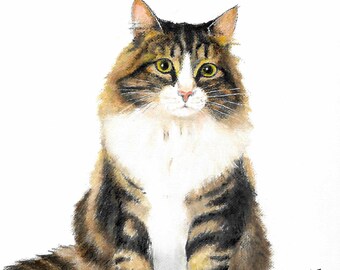 Original Oil Portrait Painting NORWEGIAN FOREST CAT Artist Signed Artwork Cat Kitten Art Animal Pet