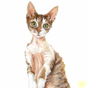 Original Oil Portrait Painting DEVON REX BROWN Mackerel Tabby White Artist Signed Art Artwork Cat Kitten Pet