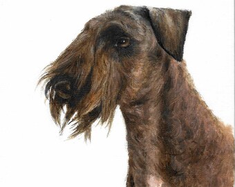Original DOG Pintura de retrato al óleo CESKY TERRIER Artista firmado Puppy Pet Artwork