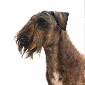 Original DOG Oil Portrait Painting CESKY TERRIER Artist Signed Puppy Pet Artwork