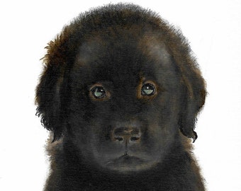 Original Oil Art FLAT COATED RETRIEVER Portrait Painting Dog Artist Signed Black Lab Puppy