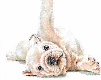 Original Oil Portrait Painting WHITE ENGLISH BULLDOG Art Puppy Artist Signed Artwork