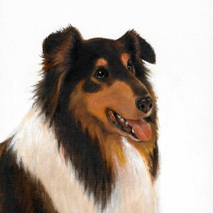 Original Oil Portrait Painting SHETLAND SHEEPDOG COLLIE Puppy Dog Sheltie Artwork from Artist