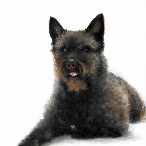 Original Oil Portrait Painting DUTCH SHEPHERD Puppy Dog Artist Signed Artwork Art