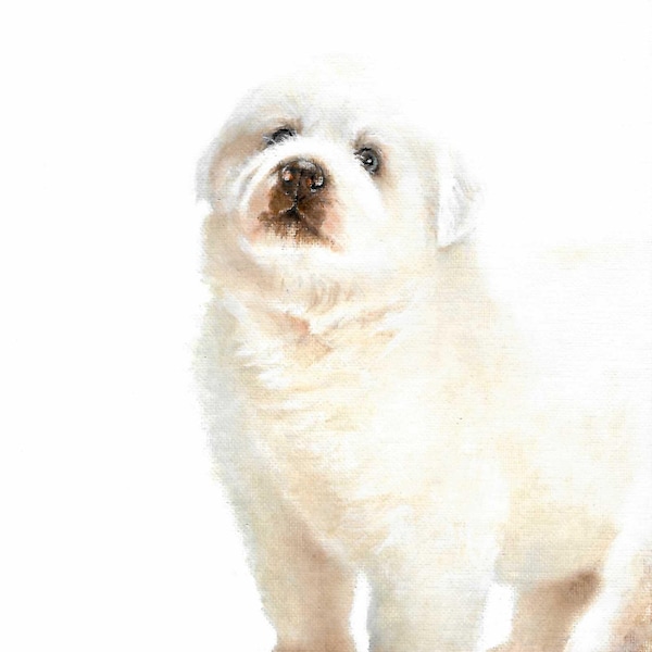 Original Peinture de Portrait à l’Huile GREAT PYRENEES Artiste Signé Puppy Dog Pet Artwork Art