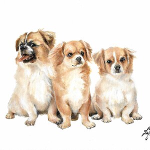 ORIGINAL Oil Portrait Painting TIBETAN SPANIEL Artist Signed Puppy Dog Art Artwork