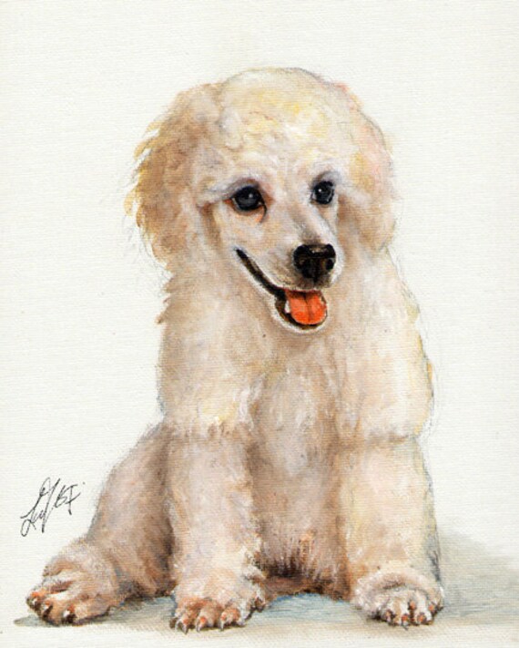 poodle oil painting