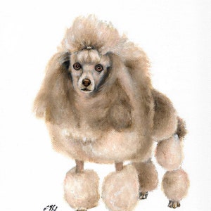 Original Oil Portrait Painting POODLE Puppy Dog Artist Signed Artwork Art