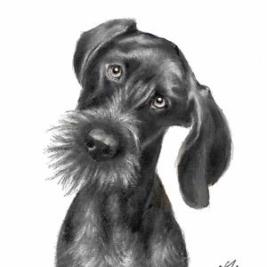 Puede incluir: Una ilustración en blanco y negro de un perro con una barba larga y tupida. El perro está mirando hacia un lado con una expresión curiosa.