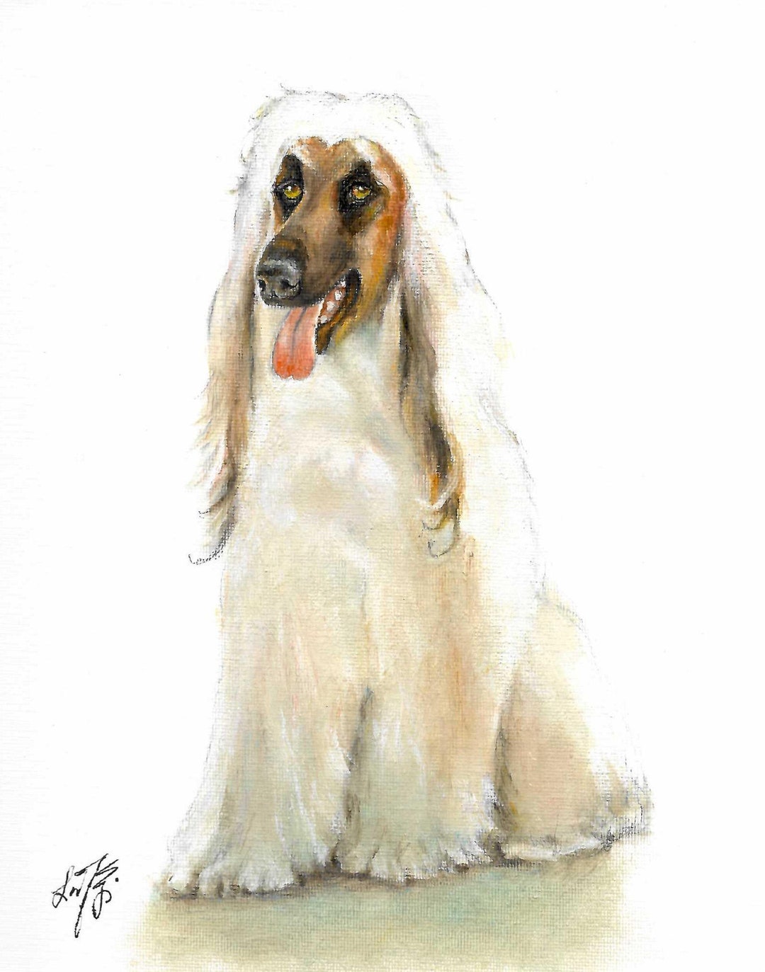 ORIGINAL Oil Portrait Painting AFGHAN HOUND Dog Art Artist Signed ...